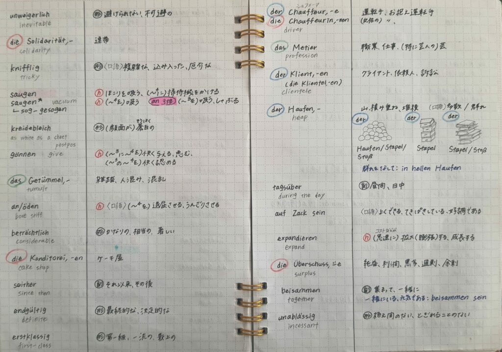 独学 ドイツ語学習で使っていたグッズ紹介します！おすすめの辞書＆単語帳 | Life of Mizuki